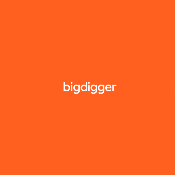 Bigdigger Consulting